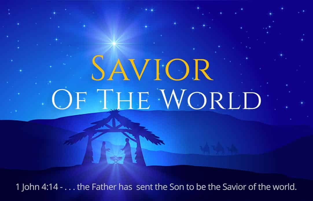 December 2025 Newsletter