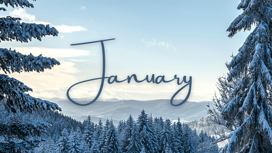 January 2026 Newsletter